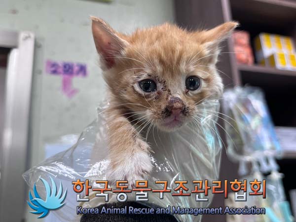 한국동물구조관리협회_441406202401701